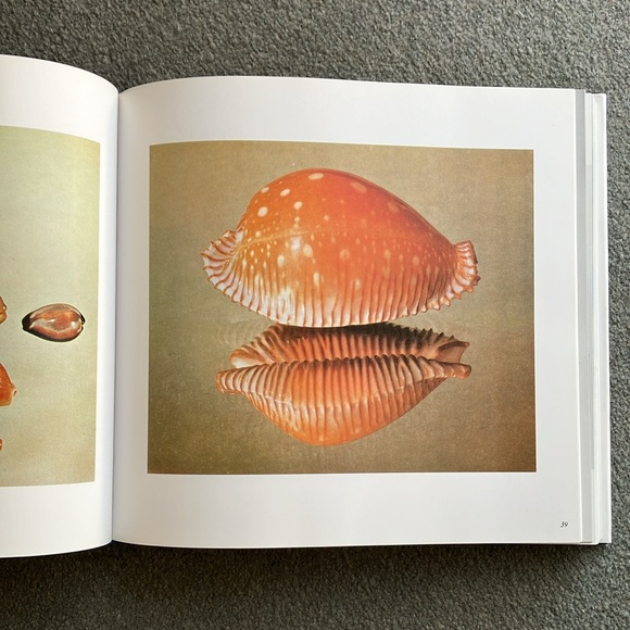 The Shell - coffee table book - Picture 3 of 11